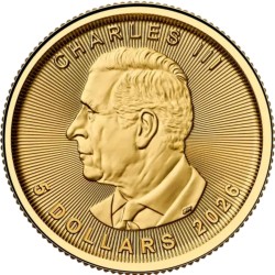 Złota Moneta 1/10 uncji Liść Klonu 2026 r