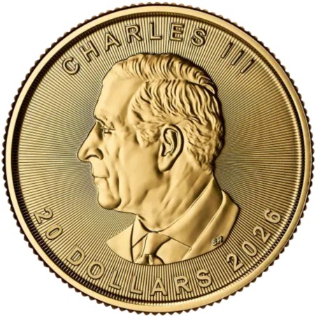 Złota Moneta 1/2 uncji Liść Klonu 2026 r