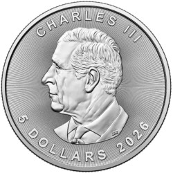 Srebrna moneta 1 uncja x25 Liść Klonu 2026