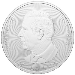 Srebrna moneta 10 uncji Liść Klonu 2024 Karol III