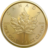 Złota Moneta 1/4 uncji Liść Klonu 2026 r