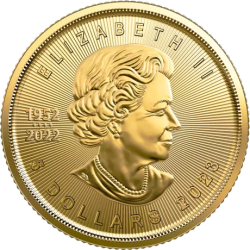 Złota Moneta 1/10 uncji Liść Klonu różne roczniki
